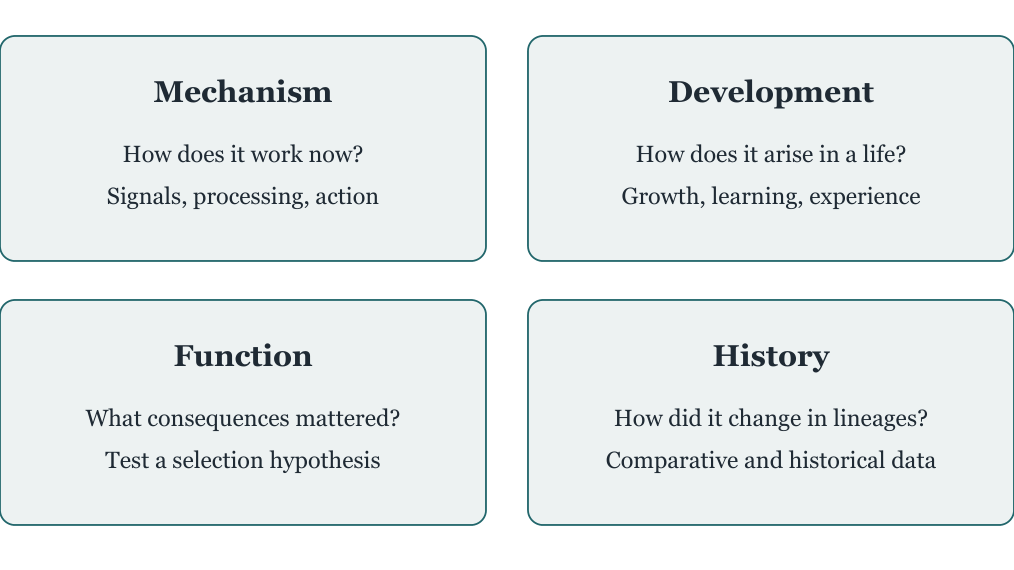 Figure 1. Four complementary questions. Evidence answering one does not automatically answer the others; the boxes are not a hierarchy of importance.